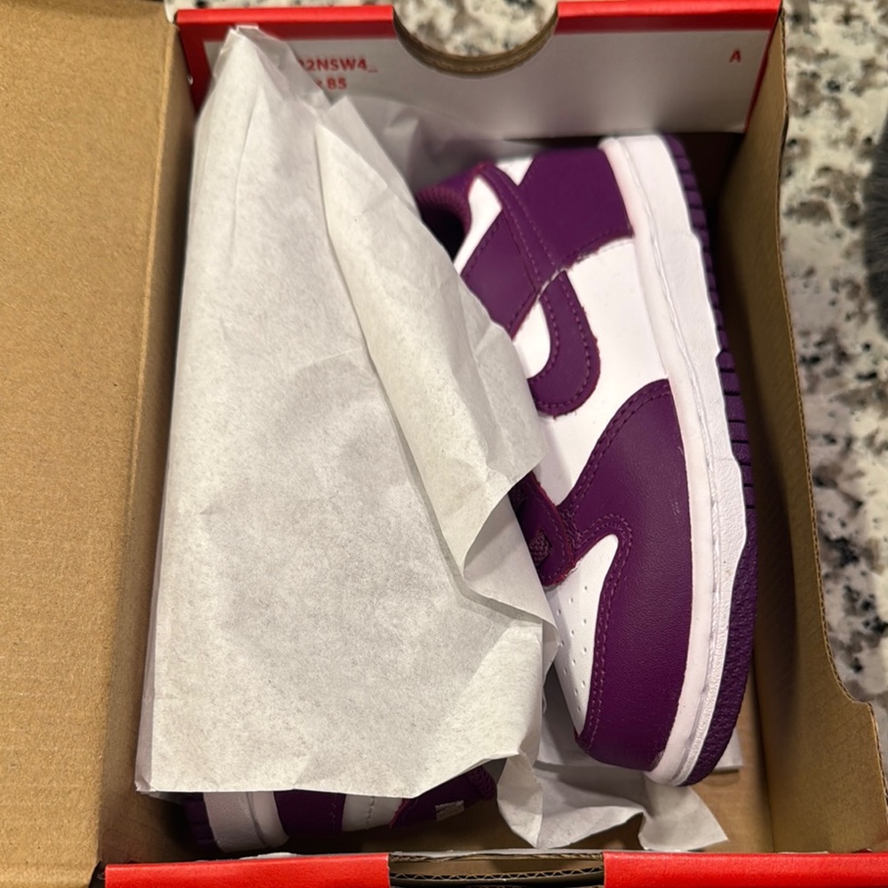 SOLD: BRAND NEW NIKE DUNKS